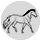NC